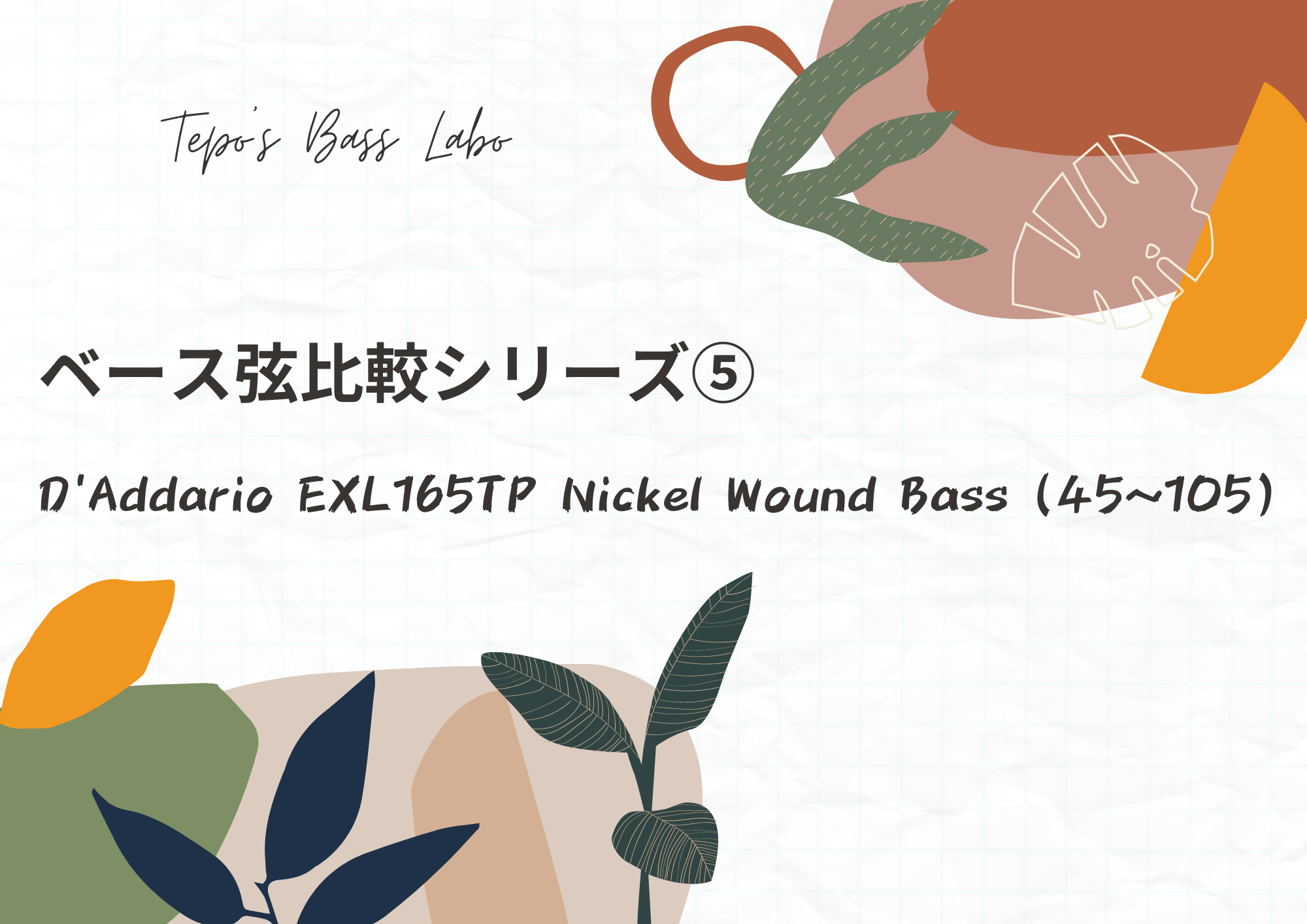ベース弦分析⑤】D'Addario EXL165TP Nickel Wound Bass（45～105） -